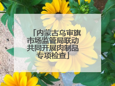 内蒙古乌审旗市场监管局联动共同开展肉制品专项检查
