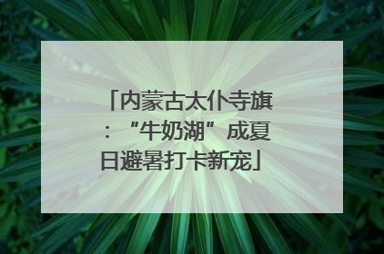 内蒙古太仆寺旗：“牛奶湖”成夏日避暑打卡新宠