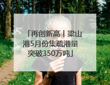 再创新高丨梁山港5月份集疏港量突破350万吨