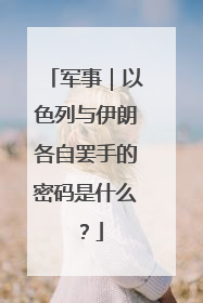 军事｜以色列与伊朗各自罢手的密码是什么？