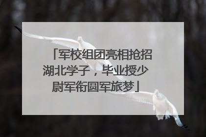军校组团亮相抢招湖北学子，毕业授少尉军衔圆军旅梦