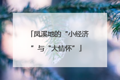 凤溪地的“小经济”与“大情怀”