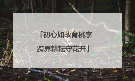 初心如故育桃李 跨界耕耘守花开