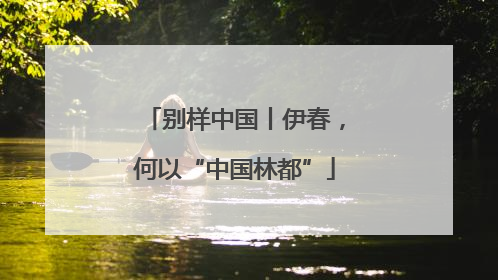 别样中国丨伊春，何以“中国林都”