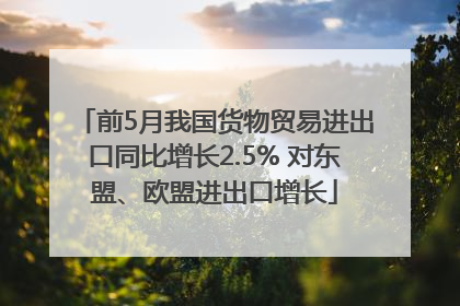 前5月我国货物贸易进出口同比增长2.5% 对东盟、欧盟进出口增长