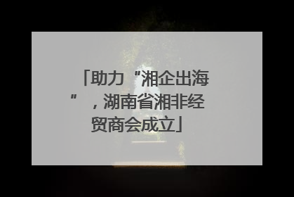 助力“湘企出海”，湖南省湘非经贸商会成立