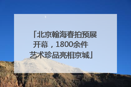 北京翰海春拍预展开幕，1800余件艺术珍品亮相京城