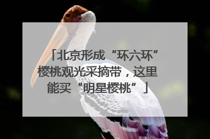 北京形成“环六环”樱桃观光采摘带，这里能买“明星樱桃”