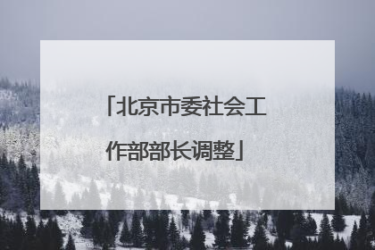 北京市委社会工作部部长调整