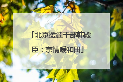 北京援疆干部韩殿臣：京情暖和田