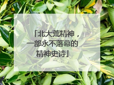 北大荒精神，一部永不落幕的精神史诗