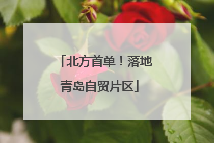 北方首单！落地青岛自贸片区