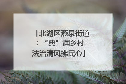 北湖区燕泉街道：“典”润乡村 法治清风拂民心