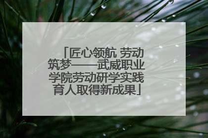 匠心领航 劳动筑梦——武威职业学院劳动研学实践育人取得新成果