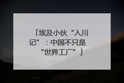 埃及小伙“入川记”：中国不只是“世界工厂”