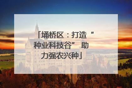 埇桥区：打造“种业科技谷” 助力强农兴种
