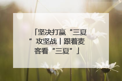 坚决打赢“三夏”攻坚战丨跟着麦客看“三夏”