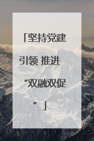 坚持党建引领 推进“双融双促”