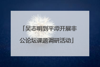 吴志明到平潭开展非公论坛课题调研活动