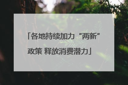 各地持续加力“两新”政策 释放消费潜力