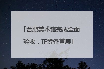 合肥美术馆完成全面验收，正筹备首展