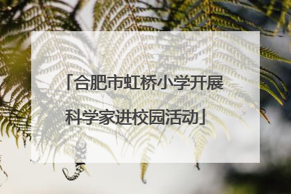合肥市虹桥小学开展科学家进校园活动