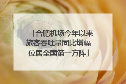 合肥机场今年以来旅客吞吐量同比增幅位居全国第一方阵