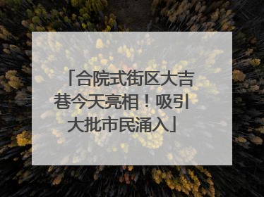 合院式街区大吉巷今天亮相！吸引大批市民涌入