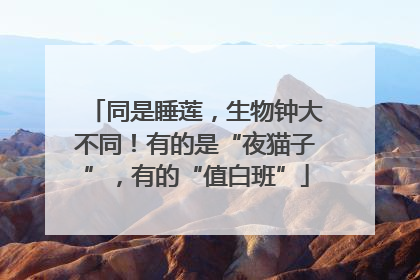 同是睡莲，生物钟大不同！有的是“夜猫子”，有的“值白班”