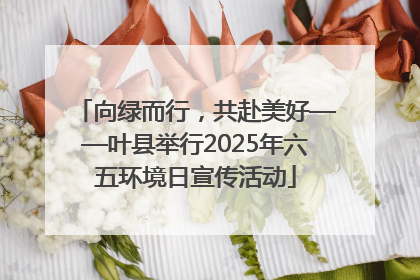 向绿而行，共赴美好——叶县举行2025年六五环境日宣传活动