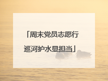 周末党员志愿行 巡河护水显担当