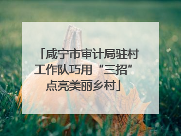 咸宁市审计局驻村工作队巧用“三招”点亮美丽乡村