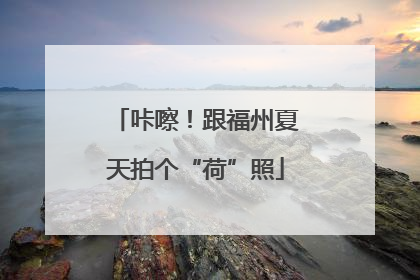 咔嚓！跟福州夏天拍个“荷”照