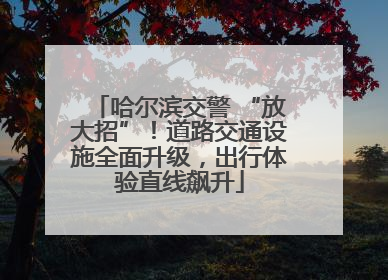 哈尔滨交警 “放大招”！道路交通设施全面升级，出行体验直线飙升