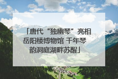 唐代“独幽琴”亮相岳阳楼博物馆 千年琴韵洞庭湖畔苏醒