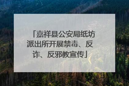 嘉祥县公安局纸坊派出所开展禁毒、反诈、反邪教宣传