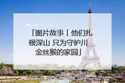 图片故事丨他们扎根深山 只为守护川金丝猴的家园