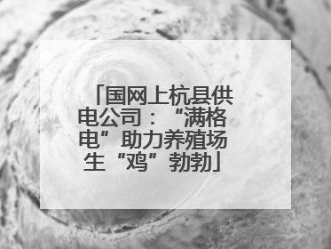 国网上杭县供电公司：“满格电”助力养殖场生“鸡”勃勃
