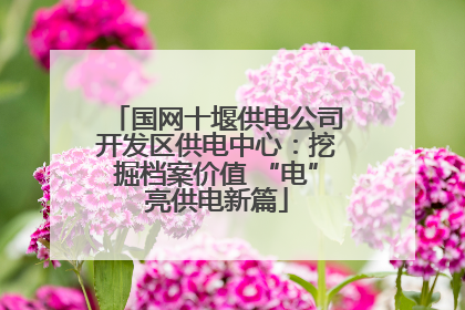 国网十堰供电公司开发区供电中心：挖掘档案价值 “电”亮供电新篇