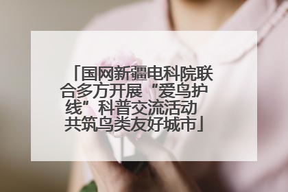 国网新疆电科院联合多方开展“爱鸟护线”科普交流活动 共筑鸟类友好城市