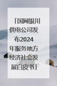 国网银川供电公司发布2024年服务地方经济社会发展白皮书