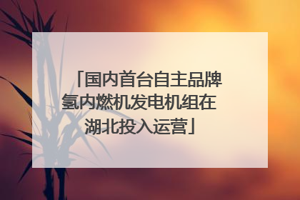 国内首台自主品牌氢内燃机发电机组在湖北投入运营