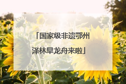 国家级非遗鄂州泽林旱龙舟来啦