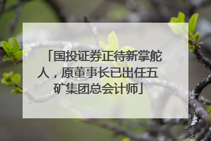 国投证券正待新掌舵人，原董事长已出任五矿集团总会计师