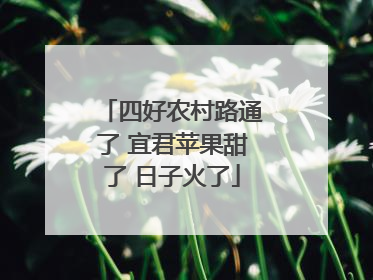四好农村路通了 宜君苹果甜了 日子火了