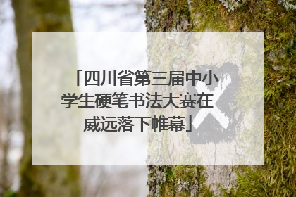 四川省第三届中小学生硬笔书法大赛在威远落下帷幕