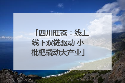 四川旺苍：线上线下双链驱动 小枇杷撬动大产业