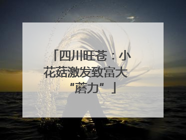 四川旺苍：小花菇激发致富大“蘑力”