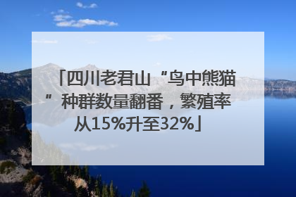 四川老君山“鸟中熊猫”种群数量翻番，繁殖率从15%升至32%