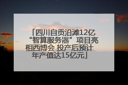 四川自贡沿滩12亿“智算服务器”项目亮相西博会 投产后预计年产值达15亿元